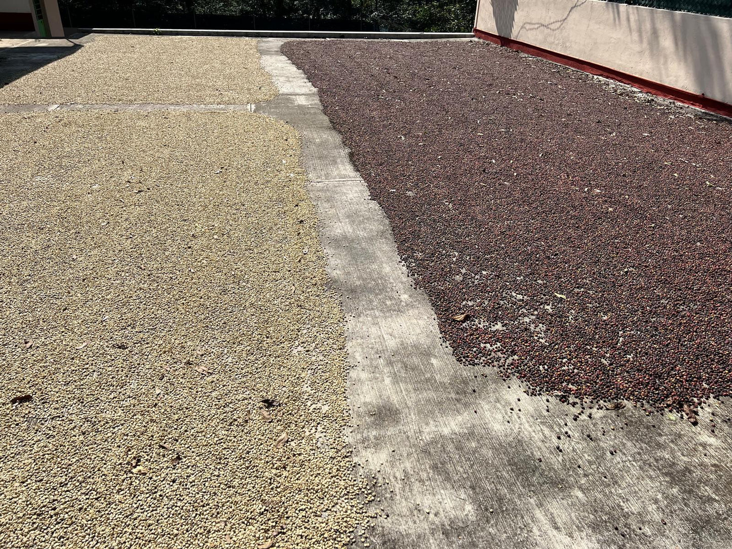 Zentla, Veracruz.
