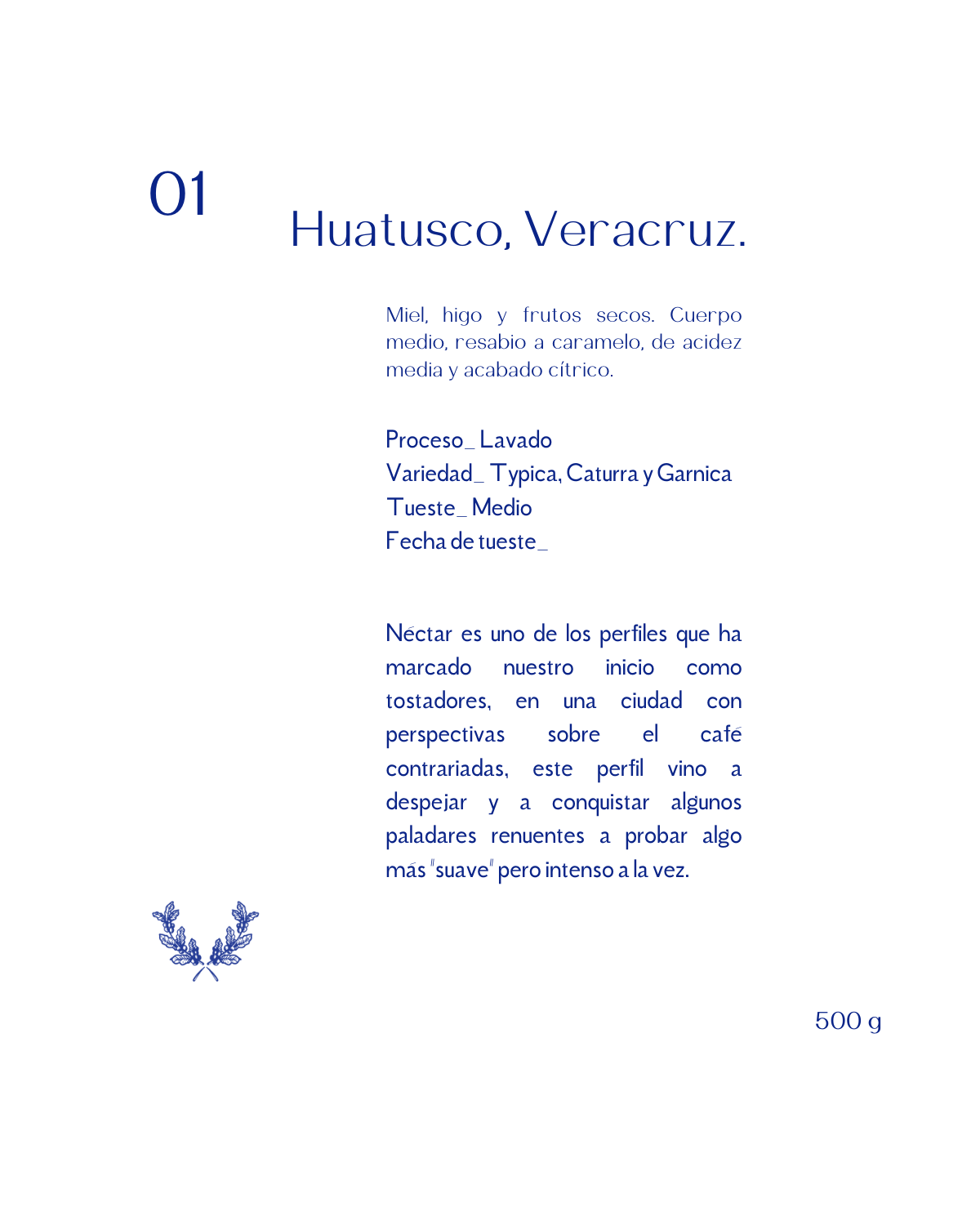 01 - Néctar. Huatusco, Veracruz.