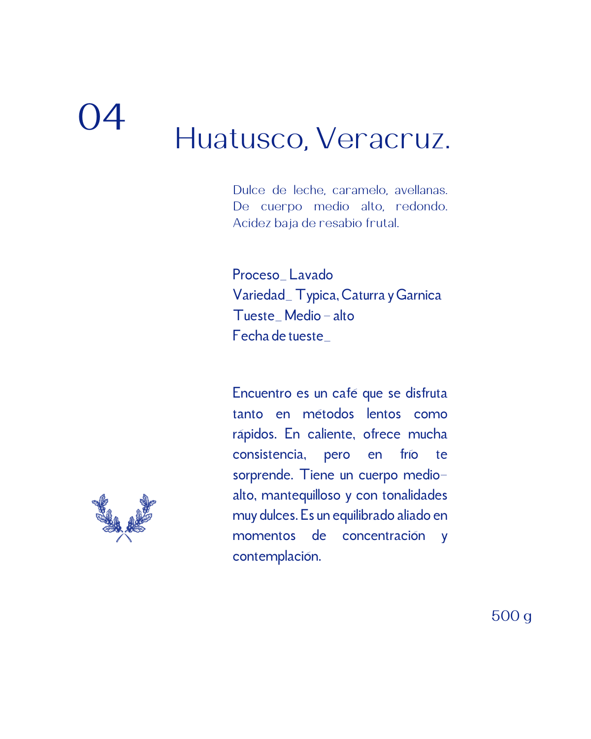 04 - Encuentro. Huatusco, Veracruz