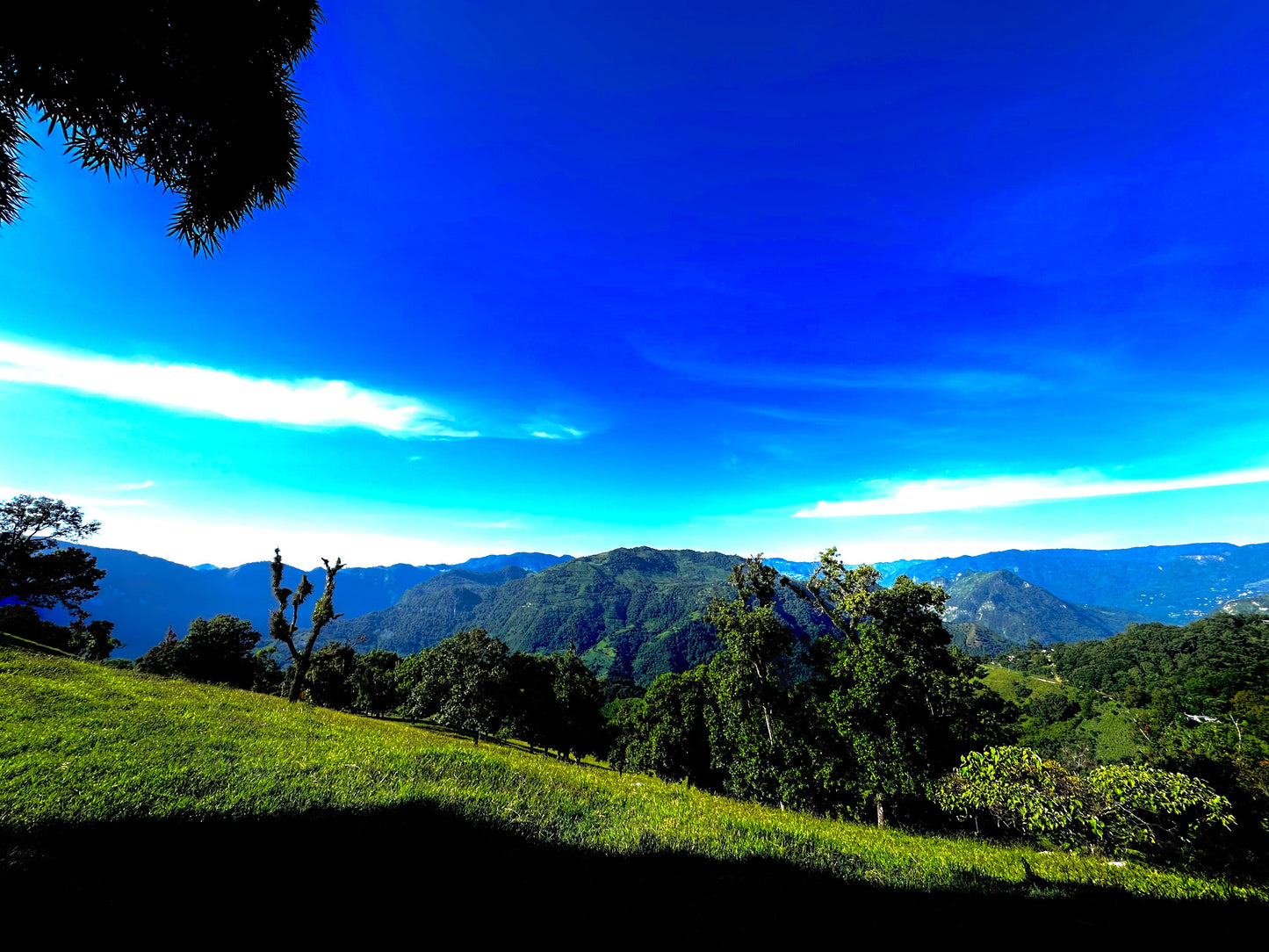 Tlacuilotepec, Puebla